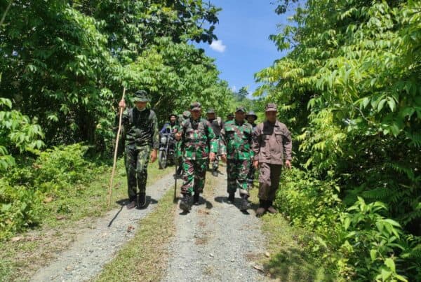 Pemusnahan Gabungan Ladang Ganja Pemusnahan Gabungan Ladang Ganja